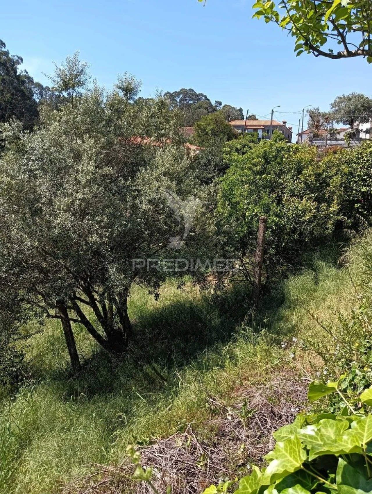 Moradia T3 para Venda em Baltar Foto 9