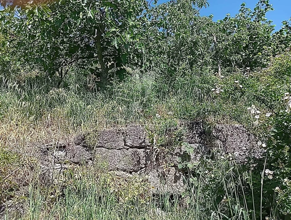 Moradia T3 para Venda em Baltar Foto 19
