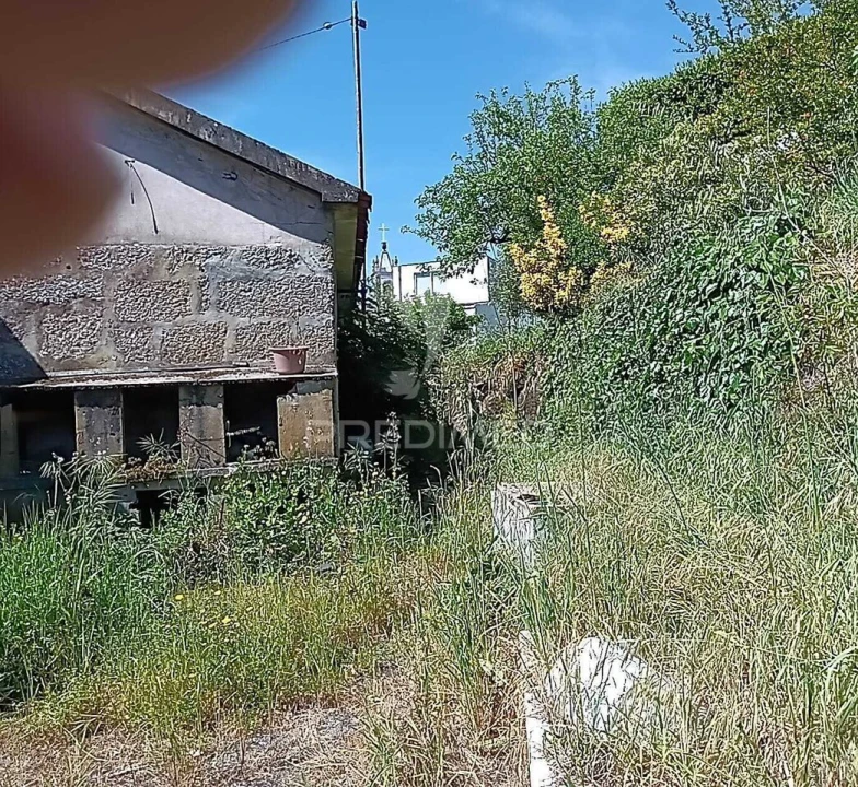 Moradia T3 para Venda em Baltar Foto 20