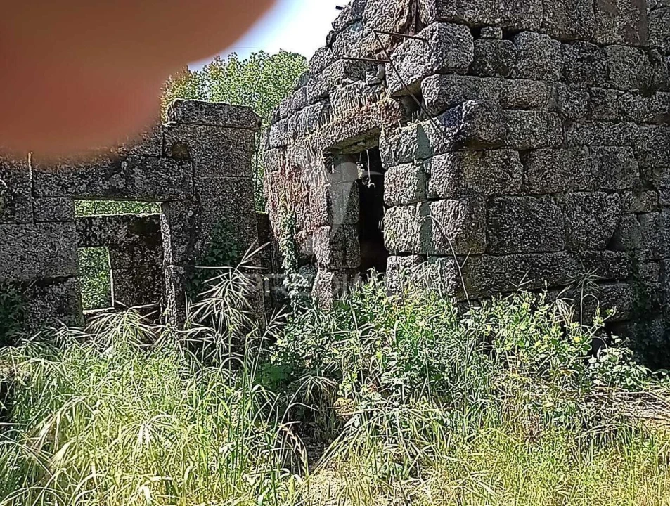Moradia T3 para Venda em Baltar Foto 22