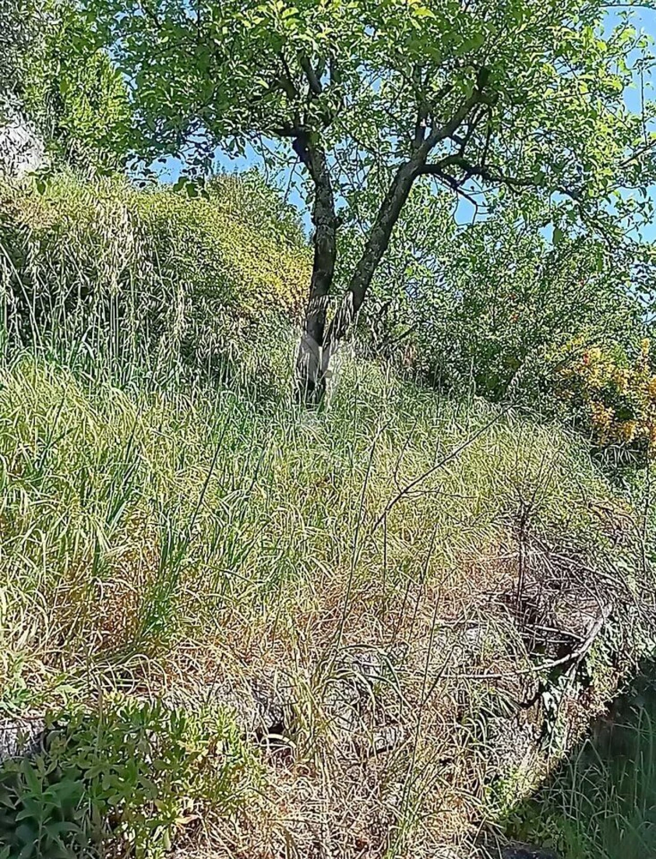 Moradia T3 para Venda em Baltar Foto 33