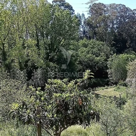 Moradia T3 para Venda em Baltar