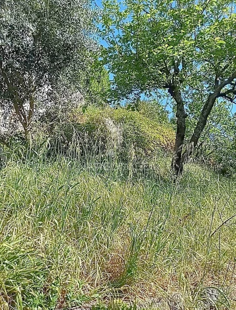 Moradia T3 para Venda em Baltar
