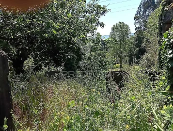 Moradia T3 para Venda em Baltar