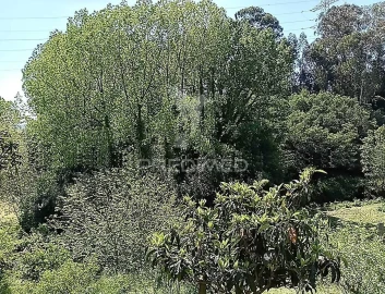 Moradia T3 para Venda em Baltar