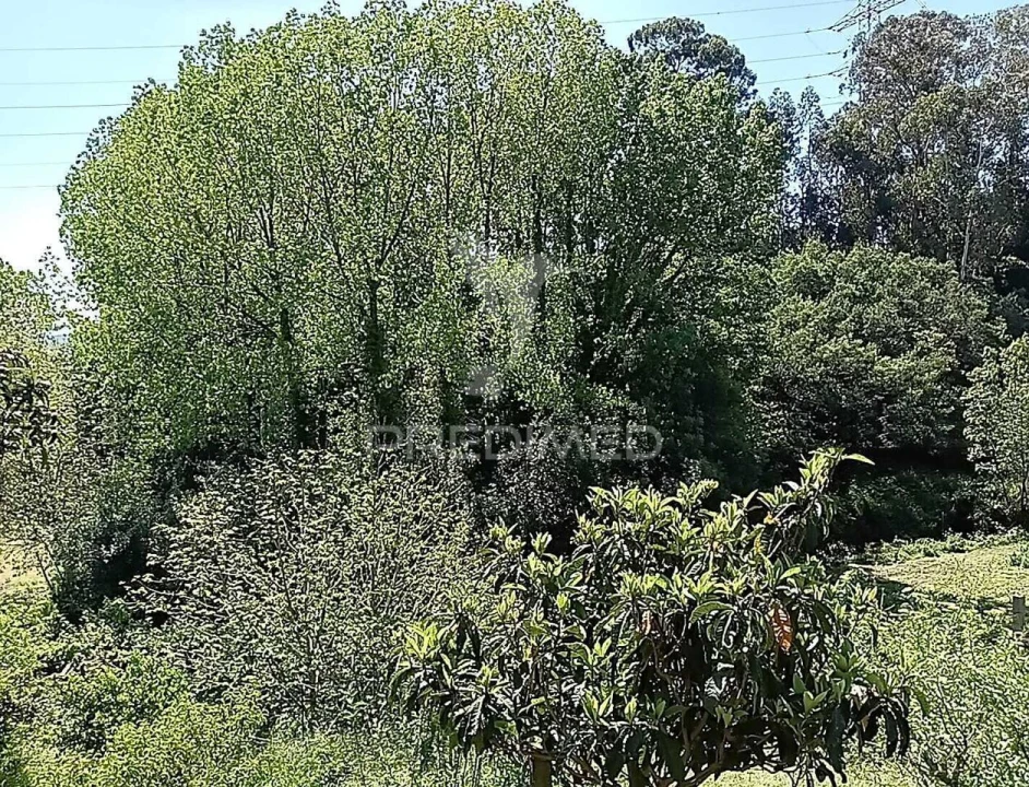 Moradia T3 para Venda em Baltar Foto 5