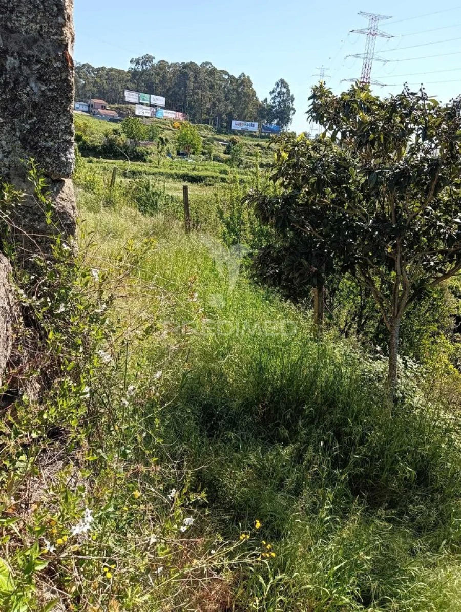 Moradia T3 para Venda em Baltar Foto 7