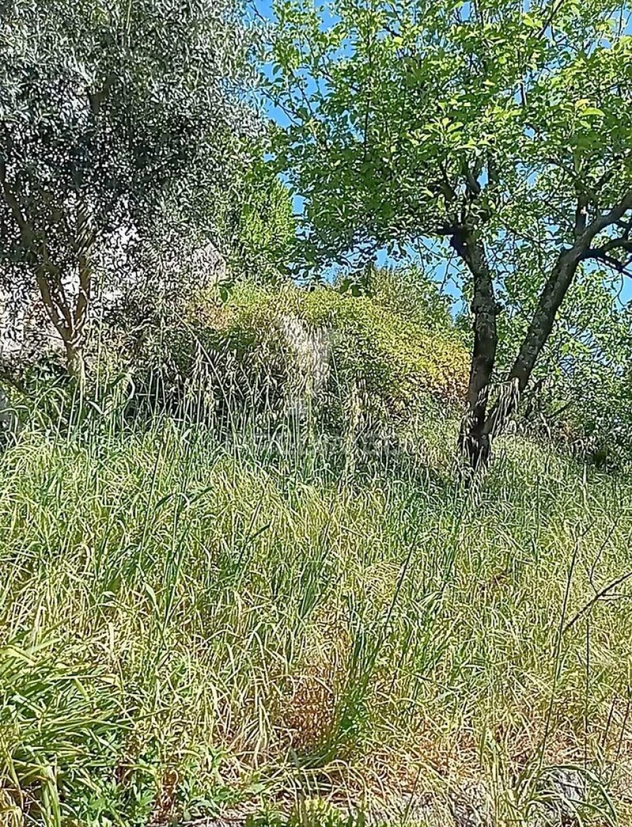 Moradia T3 para Venda em Baltar Foto 23