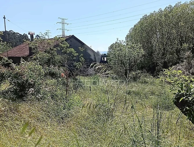 Moradia T3 para Venda em Baltar Foto 29