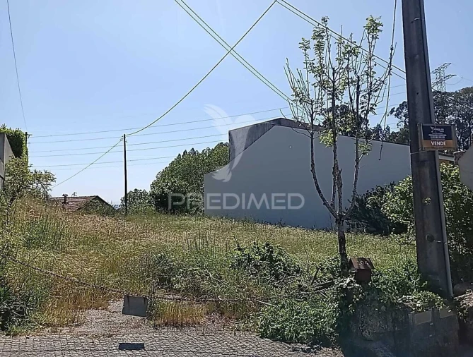 Moradia T3 para Venda em Baltar Foto 32