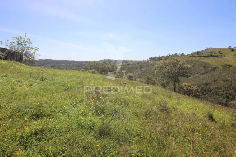 Terreno para Venda em São Bartolomeu de Messines Foto 7