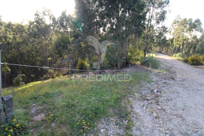 Terreno para Venda em Lagares e Figueira