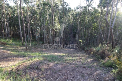Terreno para Venda em Lagares e Figueira