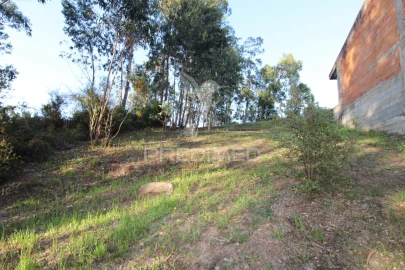Terreno para Venda em Lagares e Figueira