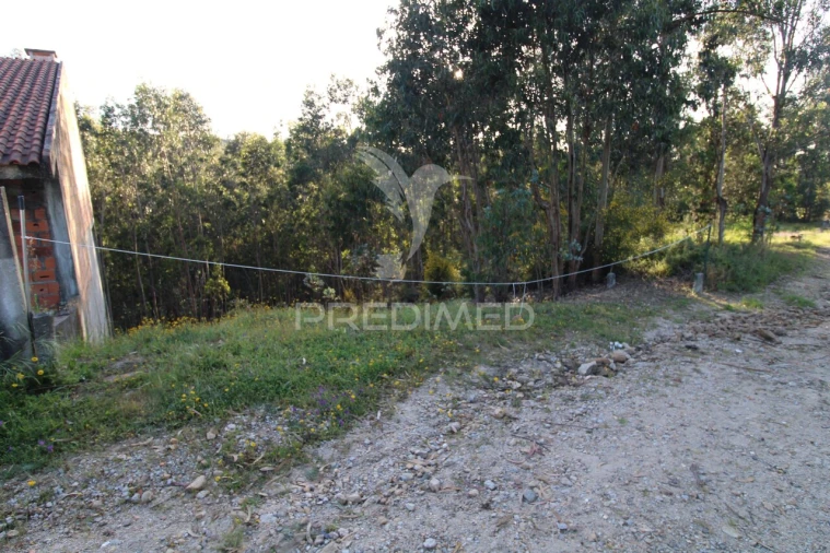 Terreno para Venda em Lagares e Figueira Foto 12