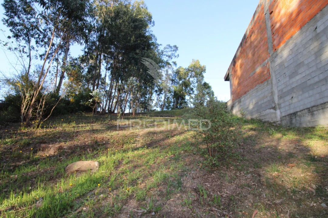 Terreno para Venda em Lagares e Figueira Foto 8