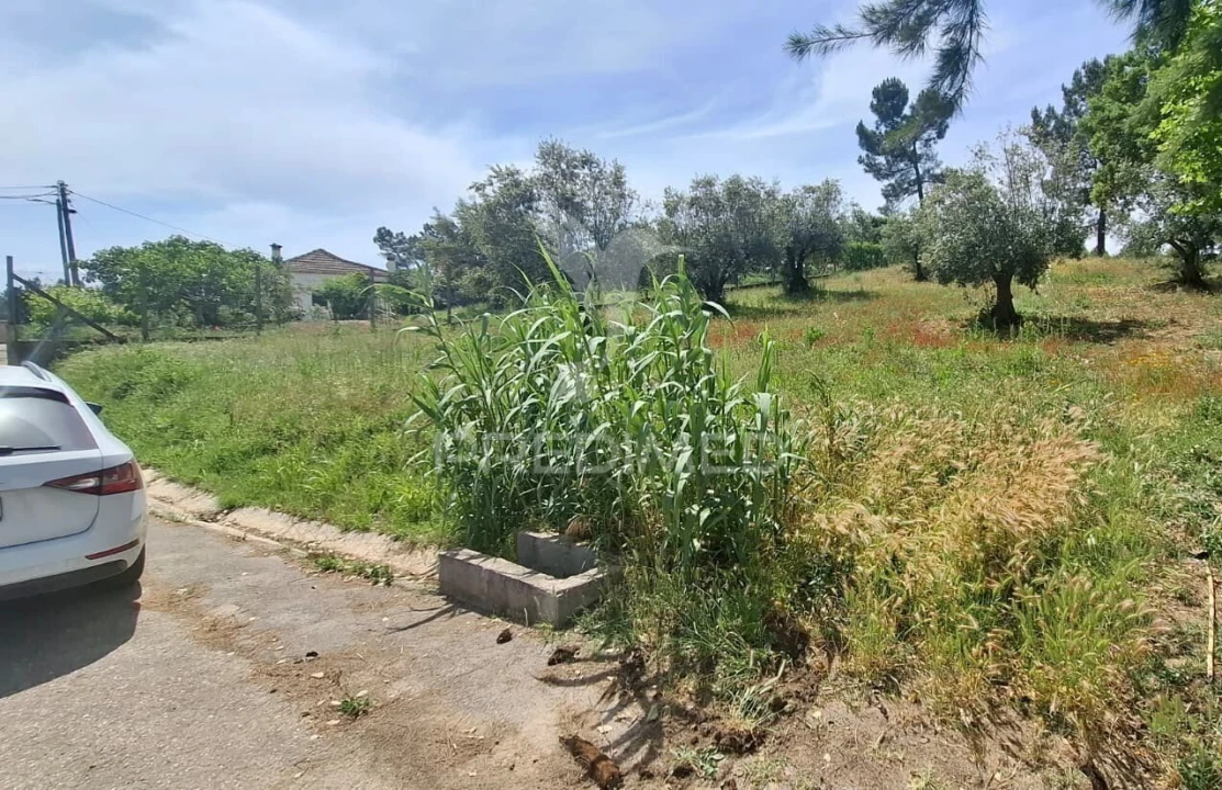 Terreno para Venda em Arneiro das Milhariças Foto 6