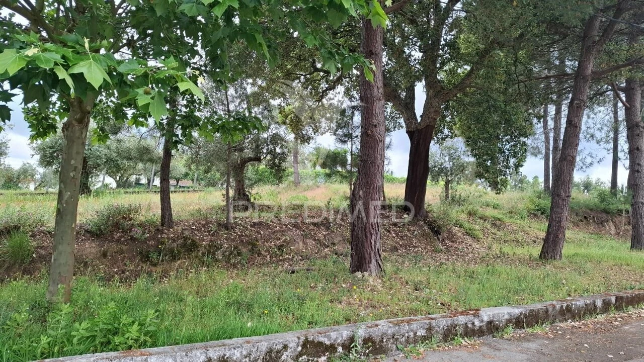 Terreno para Venda em Arneiro das Milhariças Foto 5