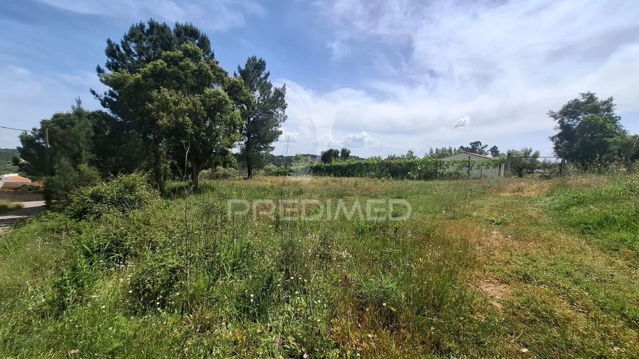 Terreno para Venda em Arneiro das Milhariças Foto 4