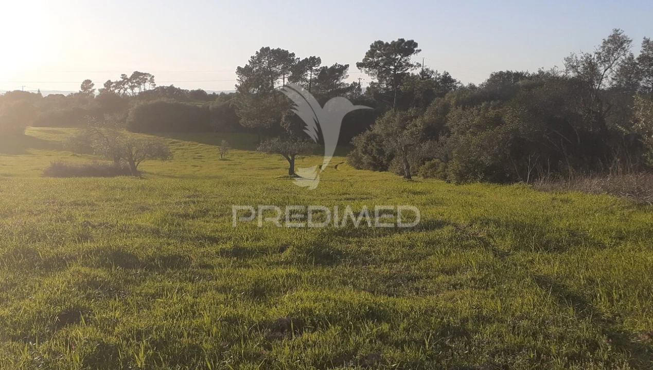 Terreno para Venda em Achete, Azoia de Baixo e Póvoa de Santarém Foto 9