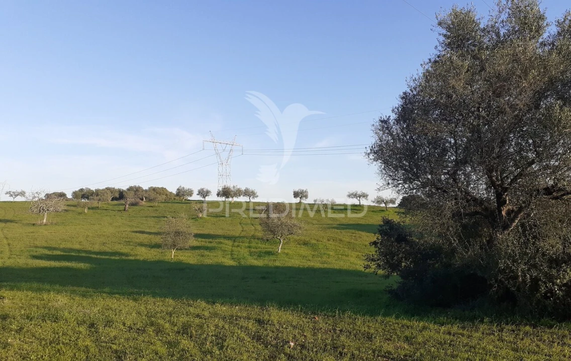 Terreno para Venda em Achete, Azoia de Baixo e Póvoa de Santarém Foto 3