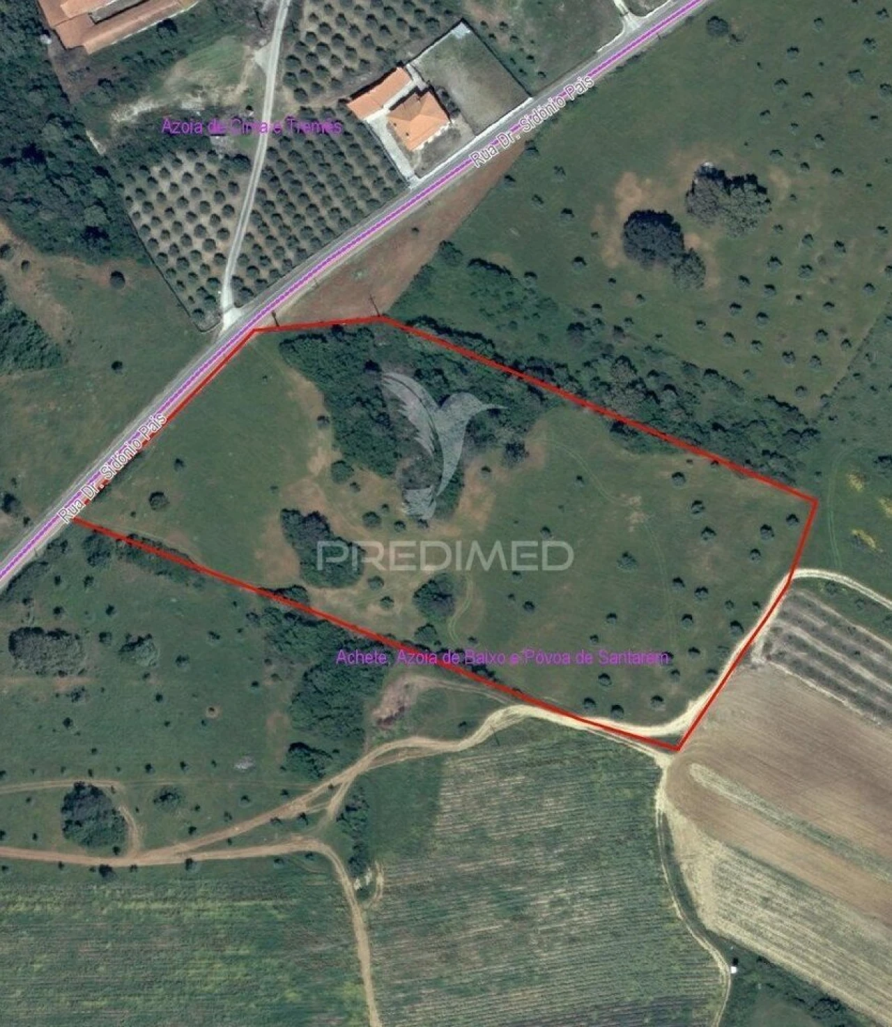 Terreno para Venda em Achete, Azoia de Baixo e Póvoa de Santarém Foto 13