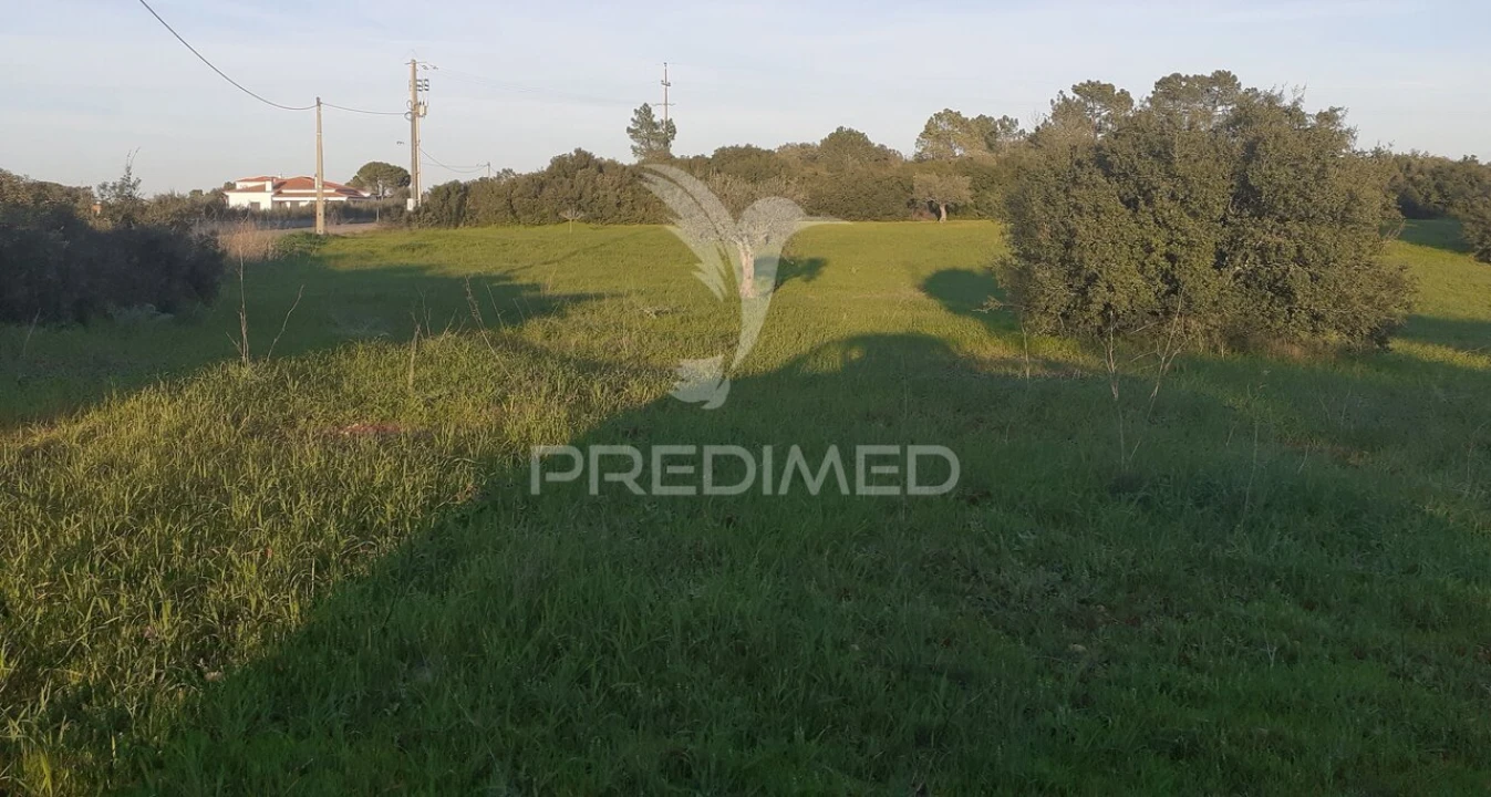 Terreno para Venda em Achete, Azoia de Baixo e Póvoa de Santarém Foto 4