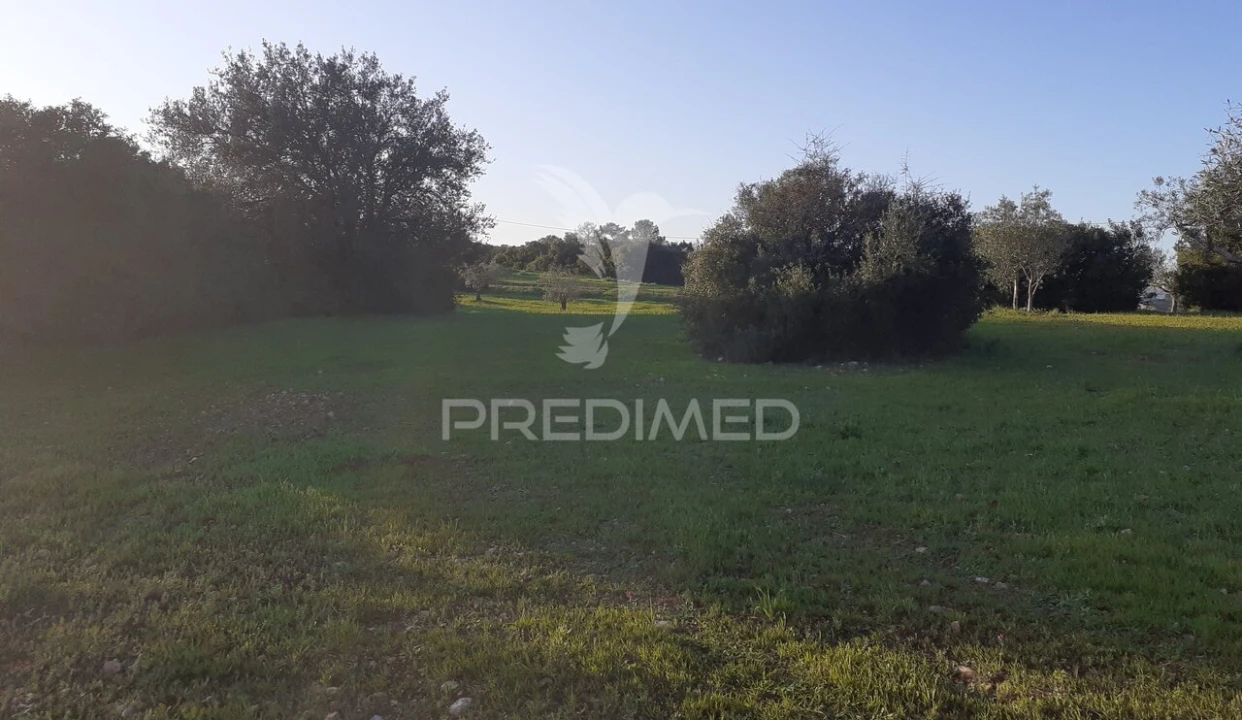 Terreno para Venda em Achete, Azoia de Baixo e Póvoa de Santarém Foto 6