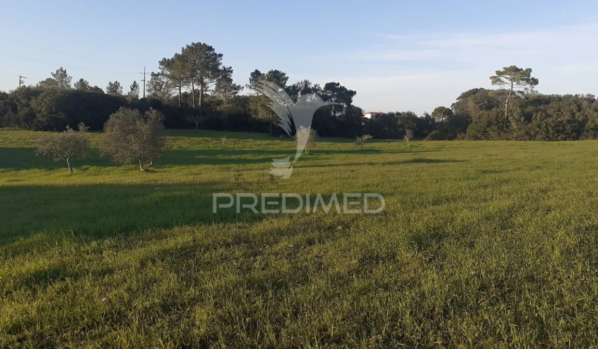 Terreno para Venda em Achete, Azoia de Baixo e Póvoa de Santarém Foto 10