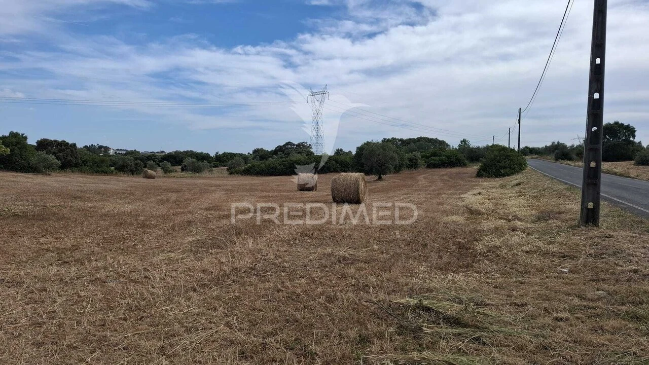 Terreno para Venda em Achete, Azoia de Baixo e Póvoa de Santarém Foto 3