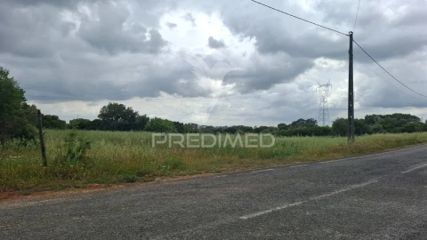 Terreno para Venda em Achete, Azoia de Baixo e Póvoa de Santarém