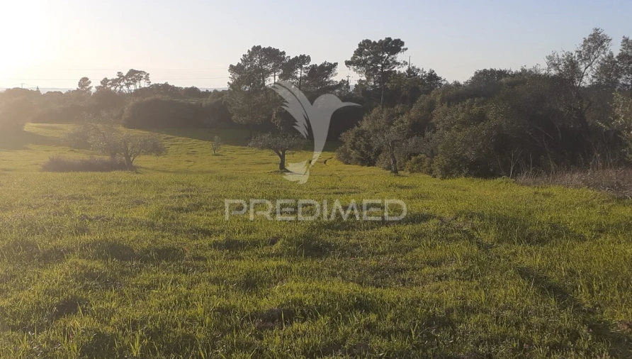 Terreno para Venda em Achete, Azoia de Baixo e Póvoa de Santarém Foto 9