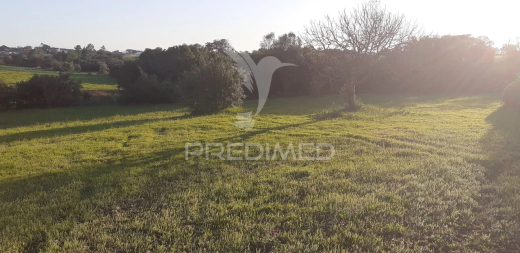 Terreno para Venda em Achete, Azoia de Baixo e Póvoa de Santarém Foto 7