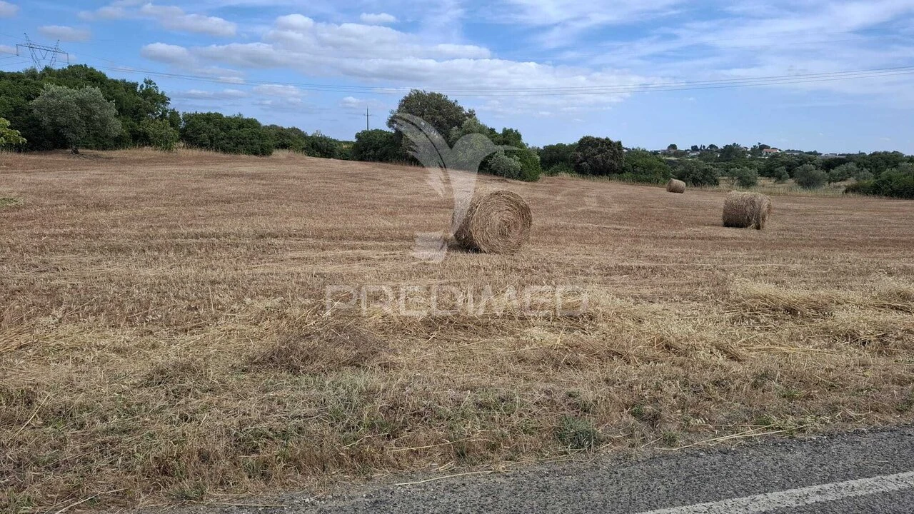 Terreno para Venda em Achete, Azoia de Baixo e Póvoa de Santarém Foto 1
