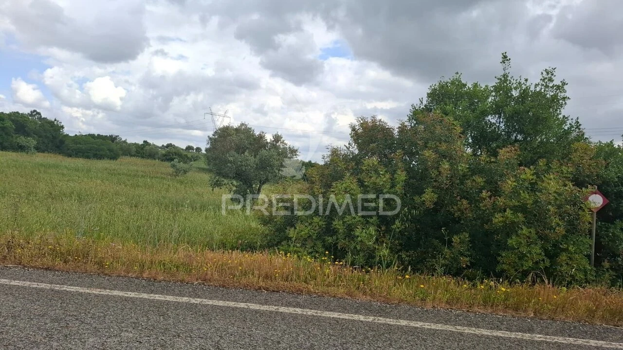 Terreno para Venda em Achete, Azoia de Baixo e Póvoa de Santarém Foto 2