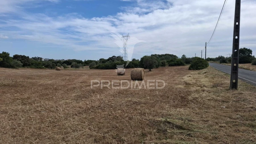 Terreno para Venda em Achete, Azoia de Baixo e Póvoa de Santarém