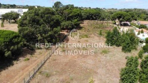 Terreno para Venda em Palmela