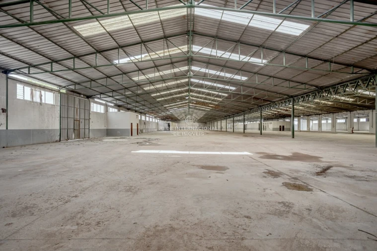 Armazém para Venda em Torres Novas (Santa Maria, Salvador e Santiago) Foto 25