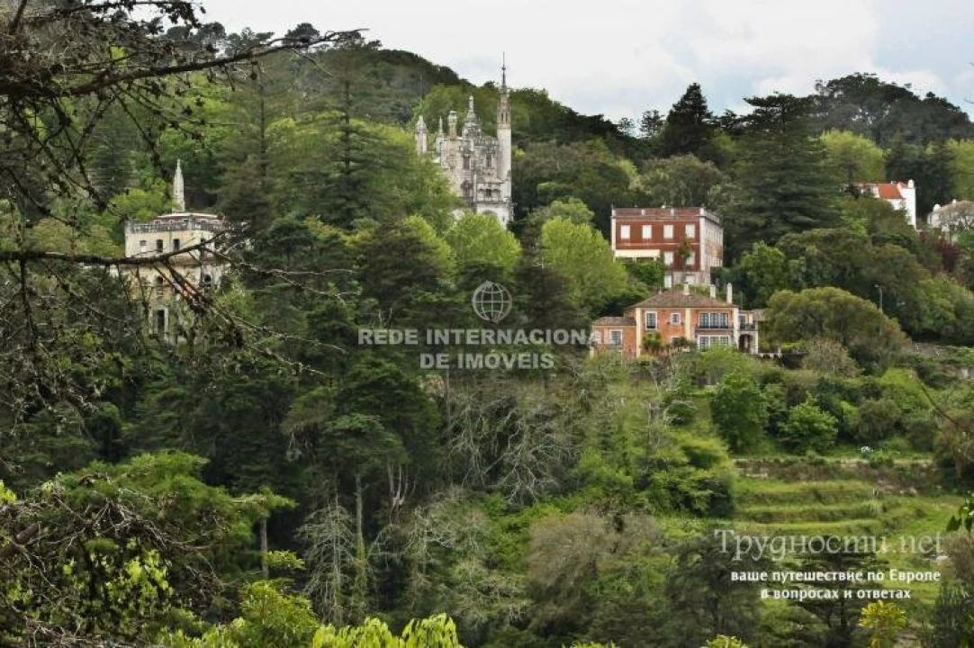 Terreno para Venda em Santa Maria e São Miguel, São Martinho, São Pedro Penaferrim Foto 4