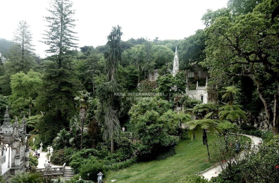 Terreno para Venda em Santa Maria e São Miguel, São Martinho, São Pedro Penaferrim Foto 9