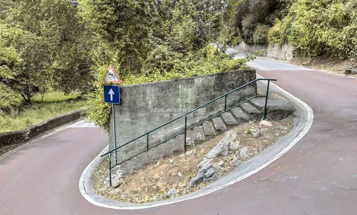 Terreno para Venda em Santa Maria e São Miguel, São Martinho, São Pedro Penaferrim Foto 2
