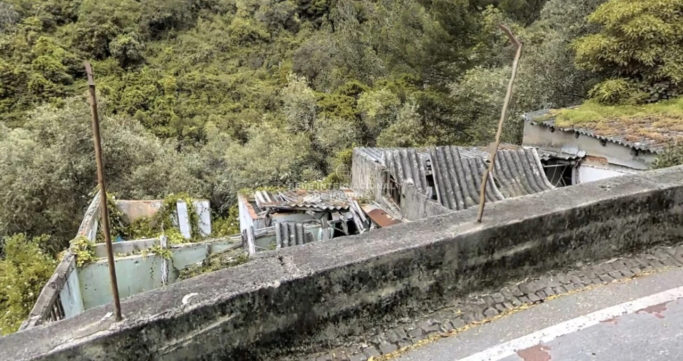 Terreno para Venda em Santa Maria e São Miguel, São Martinho, São Pedro Penaferrim Foto 28