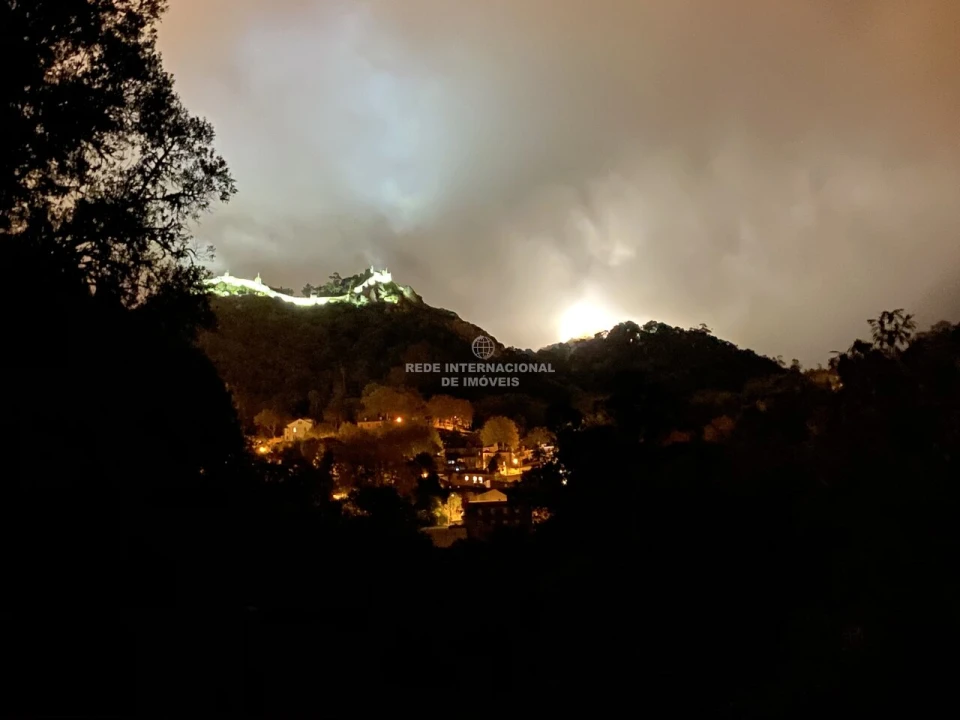 Terreno para Venda em Santa Maria e São Miguel, São Martinho, São Pedro Penaferrim Foto 26