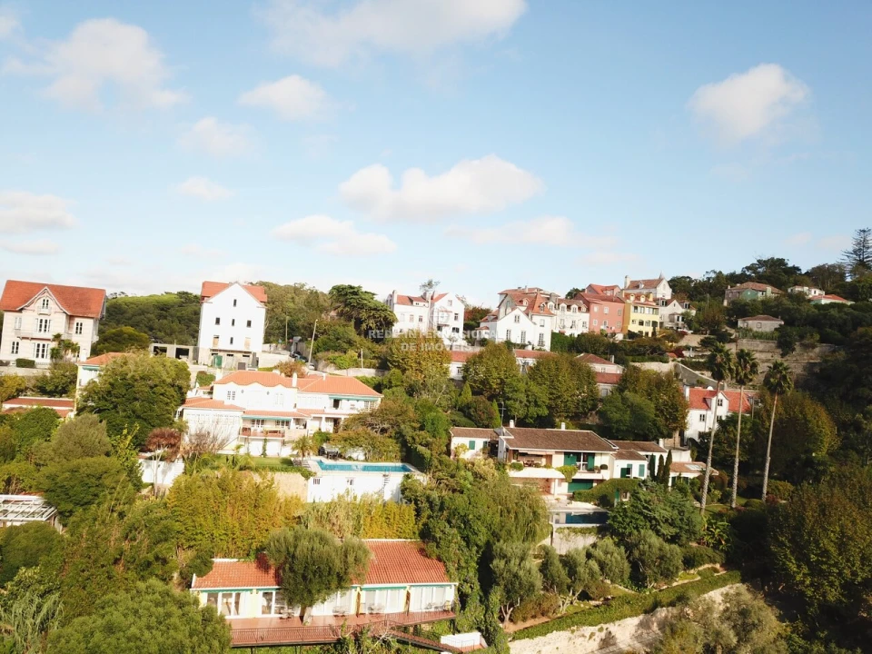 Terreno para Venda em Santa Maria e São Miguel, São Martinho, São Pedro Penaferrim Foto 24