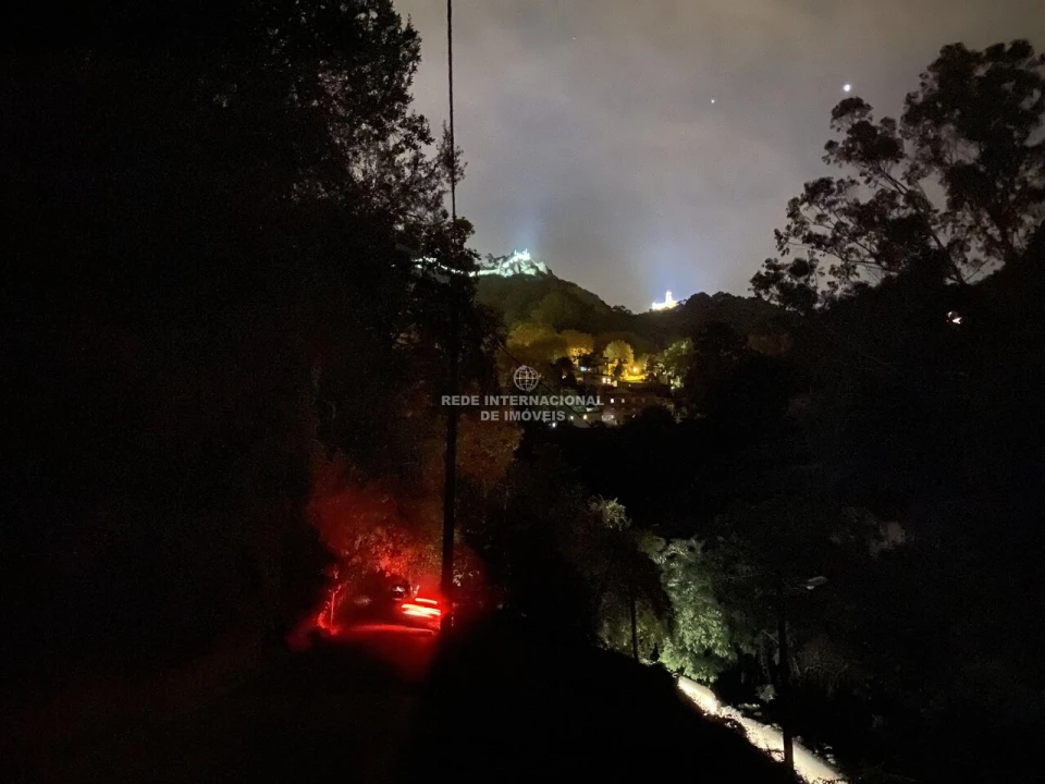 Terreno para Venda em Santa Maria e São Miguel, São Martinho, São Pedro Penaferrim Foto 16