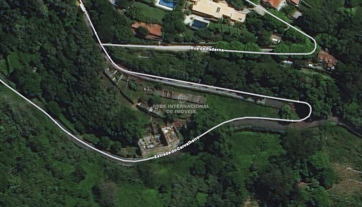 Terreno para Venda em Santa Maria e São Miguel, São Martinho, São Pedro Penaferrim Foto 25