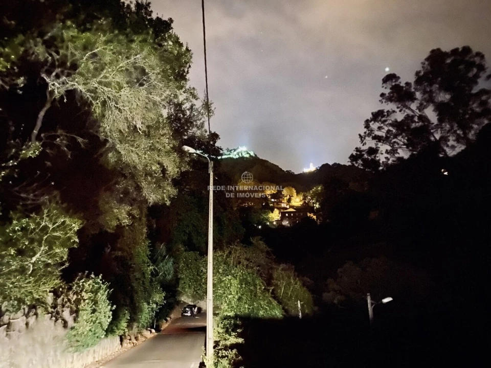 Terreno para Venda em Santa Maria e São Miguel, São Martinho, São Pedro Penaferrim Foto 20