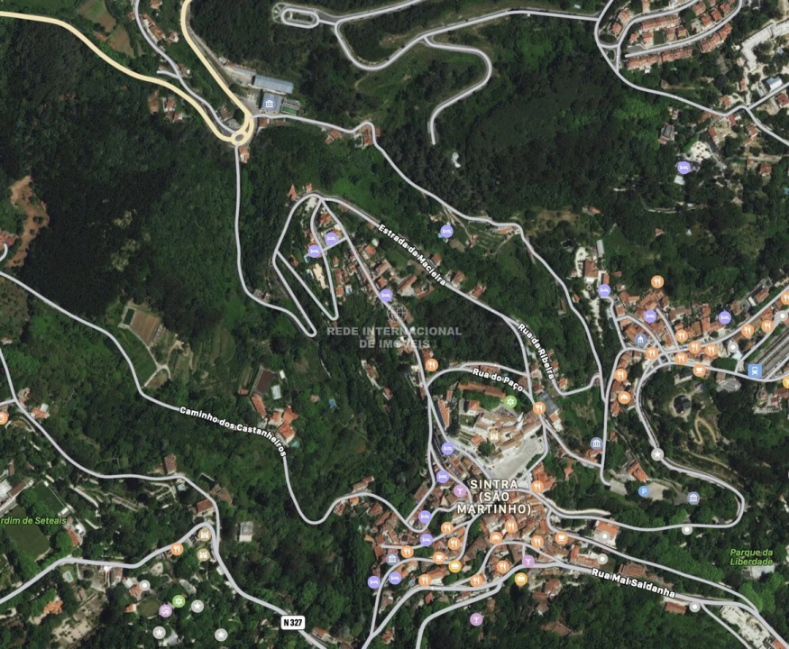 Terreno para Venda em Santa Maria e São Miguel, São Martinho, São Pedro Penaferrim Foto 21