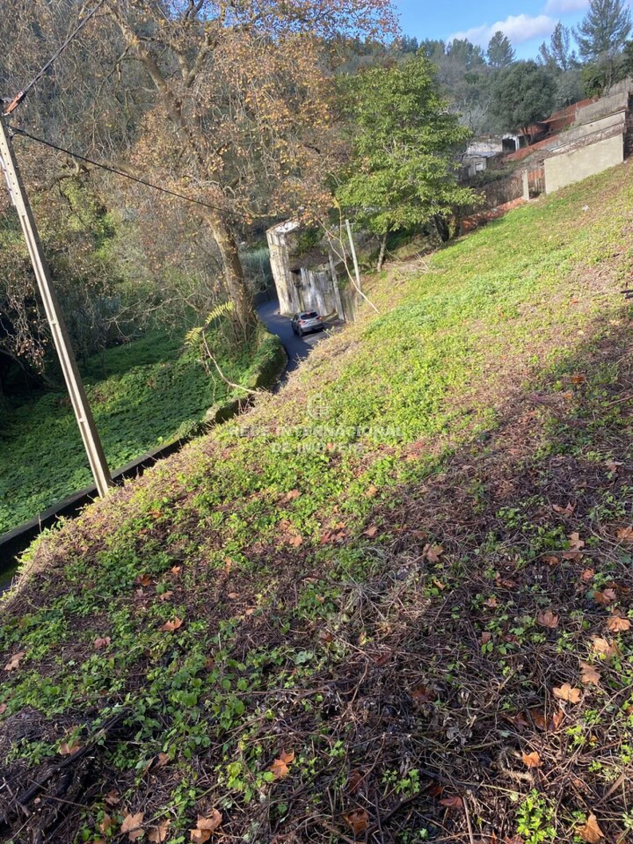 Terreno para Venda em Santa Maria e São Miguel, São Martinho, São Pedro Penaferrim Foto 6