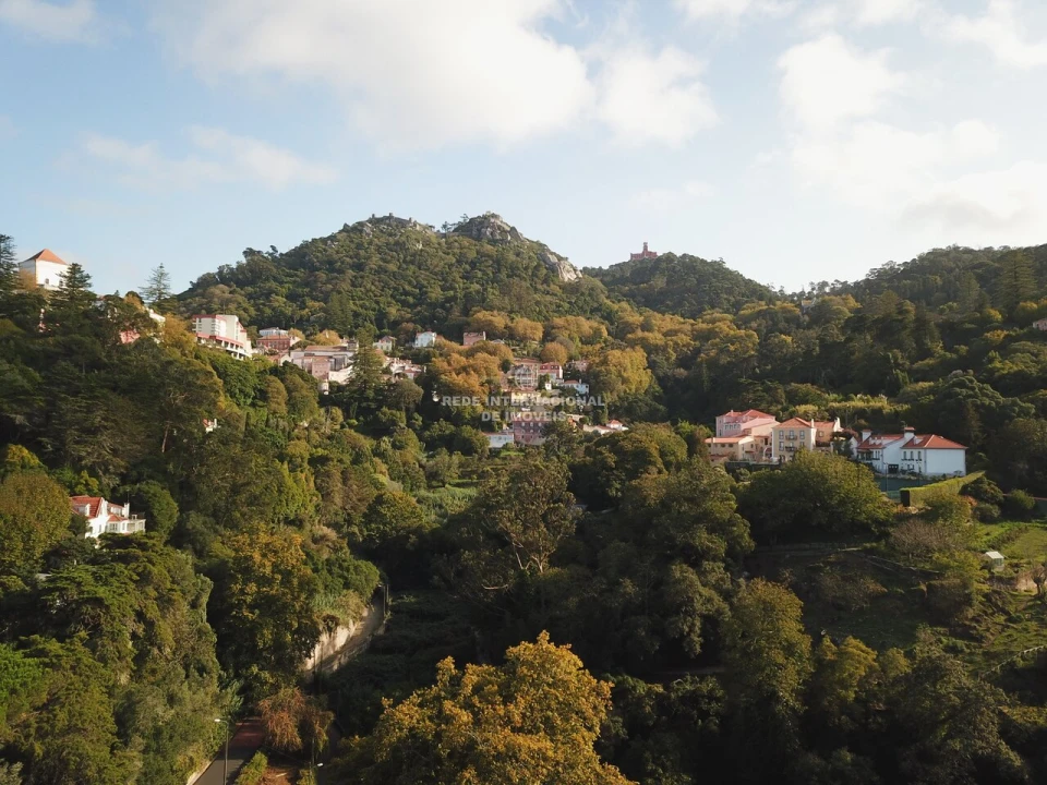 Terreno para Venda em Santa Maria e São Miguel, São Martinho, São Pedro Penaferrim Foto 17